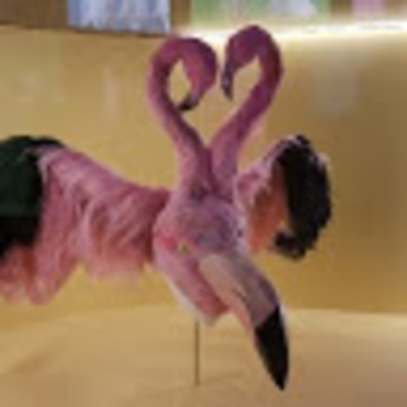 Meet your Posher, Lorraine - Picture 1 of 1